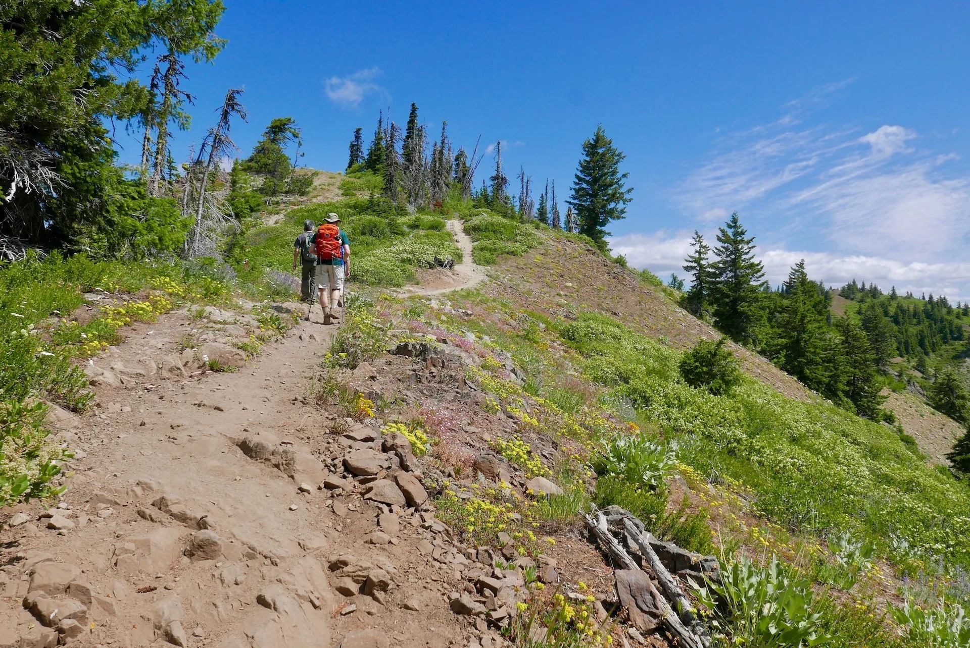 Iron Bear – Teanaway Ridge